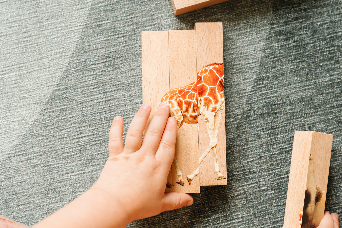 Puzzle Montessori 4 en 1 sur le thème des animaux du safari